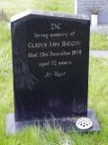 image of grave number 950201